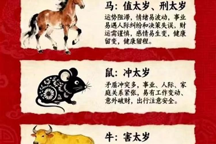 属牛什么年犯太岁？