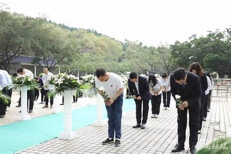 清明祭祀鞠躬