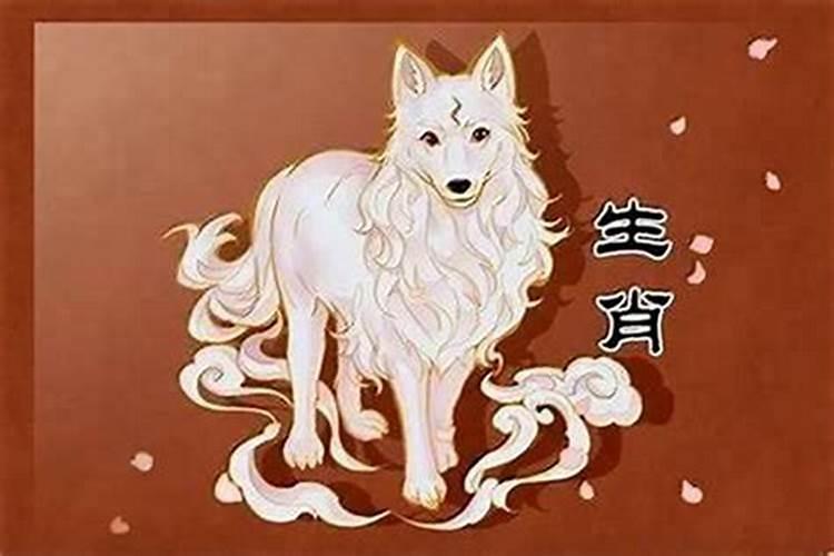 属狗的今年74岁今年的运程怎么样？