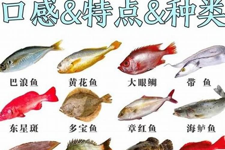 怀孕的女人梦见鱼是怎么回事儿？