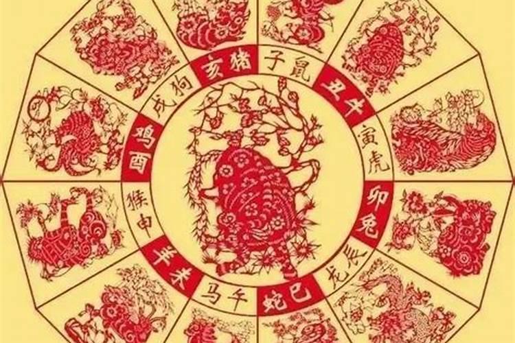 十二属相运程如何？