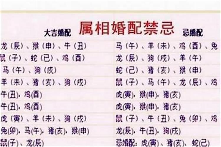 八字合生肖相冲能结婚吗？