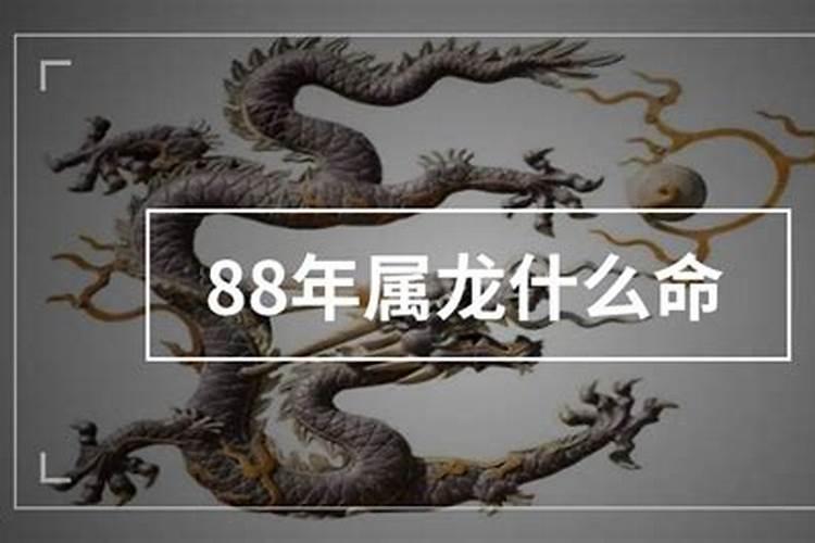 88年龙什么命？
