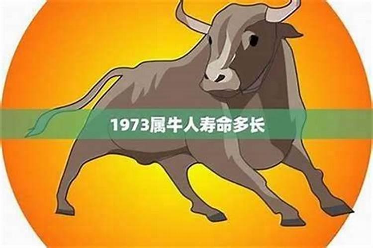 73年属牛一生的运程