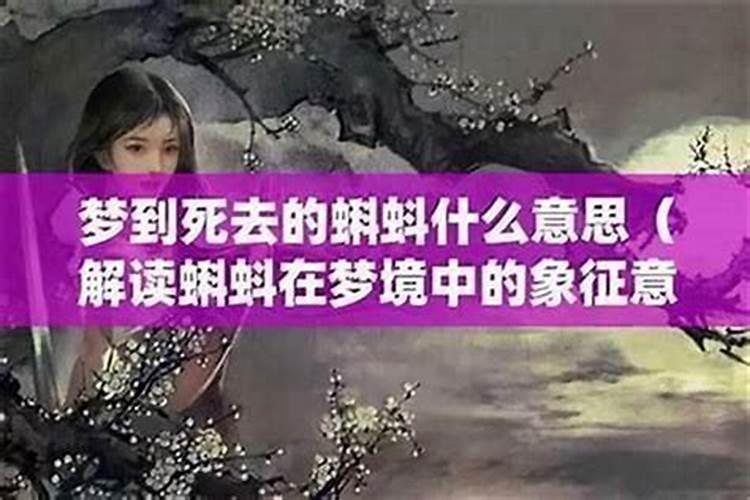 梦见表妹死了又复活是什么兆头呢？