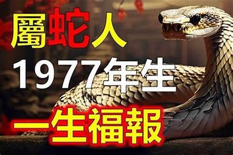 七七年的蛇是什么命？