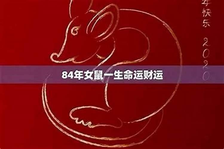 84年鼠女2026年运程