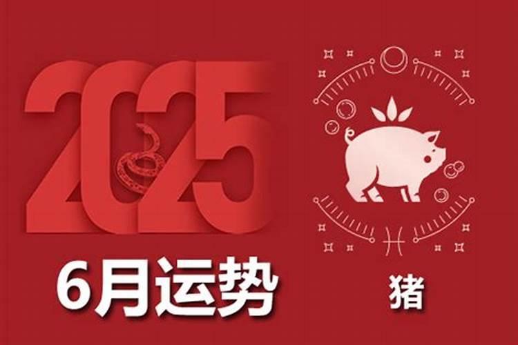 生肖属猪2026运程如何？
