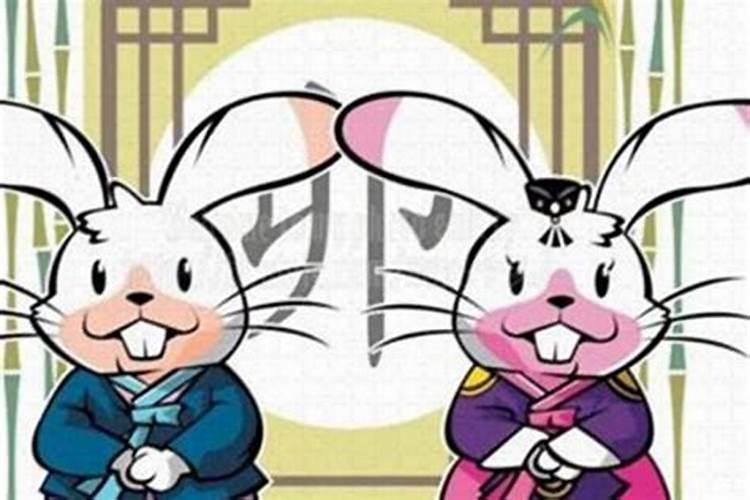 男属兔和女属兔合婚吗？