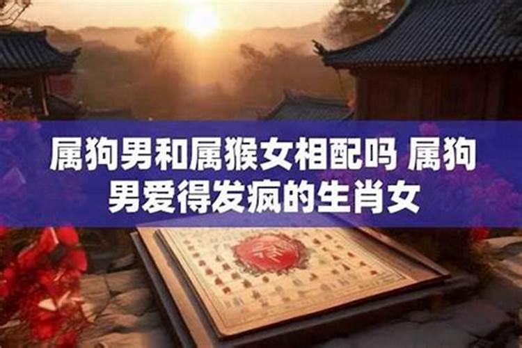 腊月属哪行？