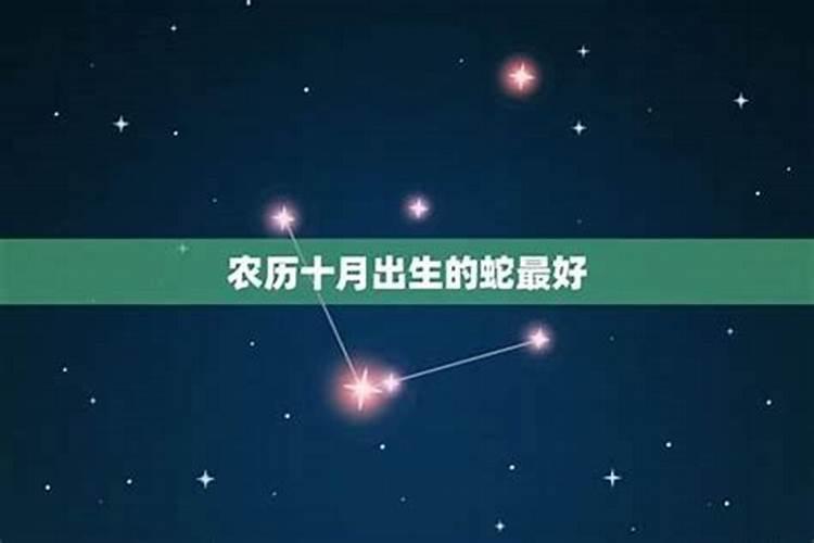 蛇出生在十月初一好吗？
