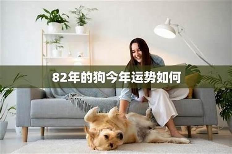 属狗82年五月运势怎么样？