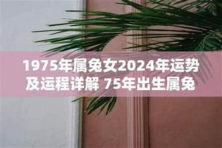 1975年女兔人2026年运程