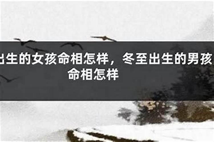 冬至出生的猴好吗？