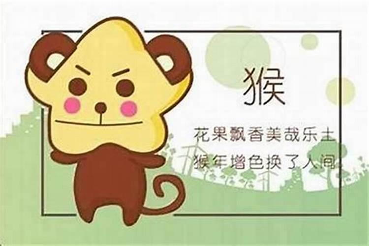 属猴子和属狗八字合吗？