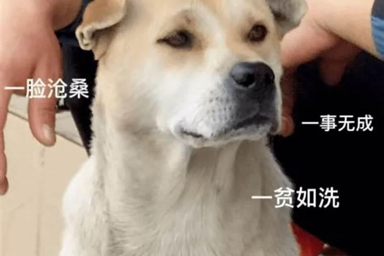 小人太坏了怎么治他们不好？
