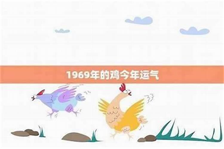 1969年肖鸡2026年运程