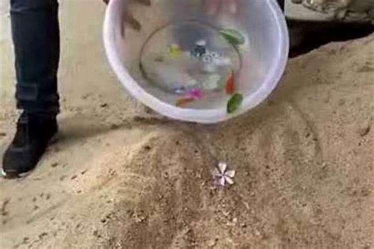 怎么看出八爪鱼在这堆沙里？