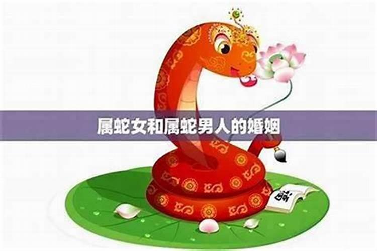 男属蛇女展免合婚吗？