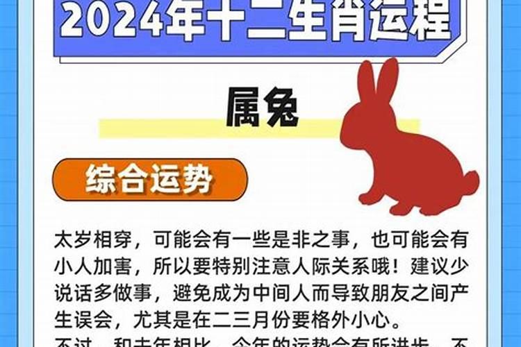 属兔人18运势怎么样？