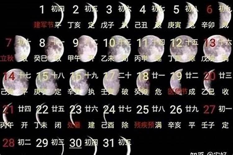 农历七月十五什么动物？