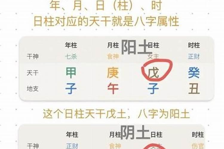 八字高手如何改善命理？