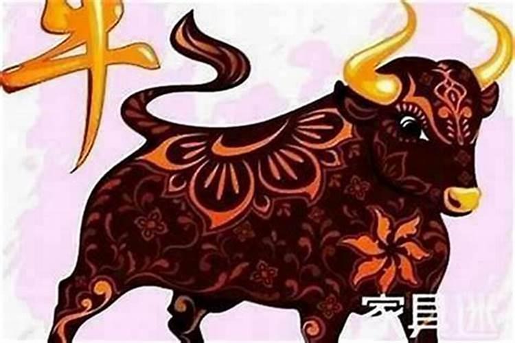 三月属牛的运势如何？