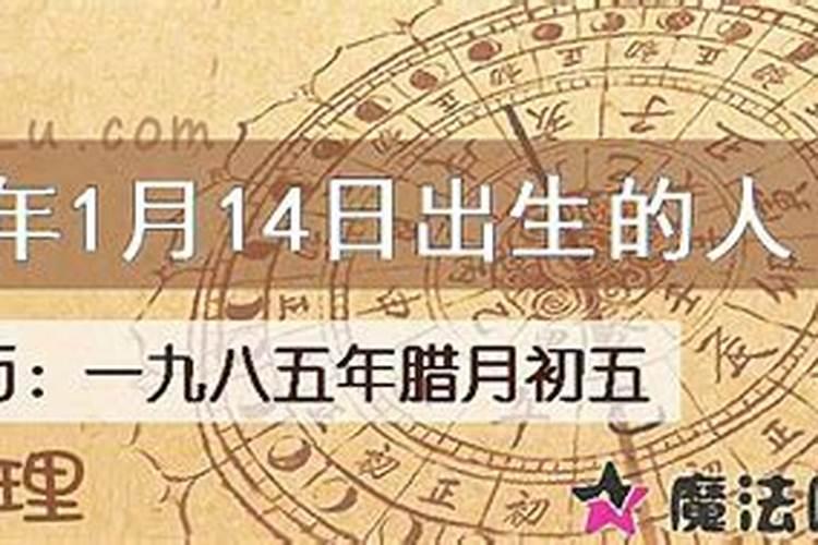 1985正月初五出生