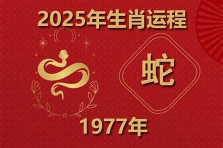 1977年蛇今年的运程