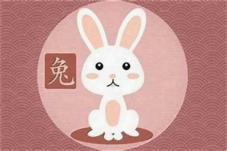 属兔女跟什么属相最合婚？