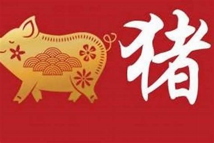 猪83年至2026年运程