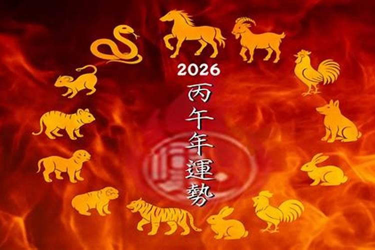 2026年生肖虎的运势如何？