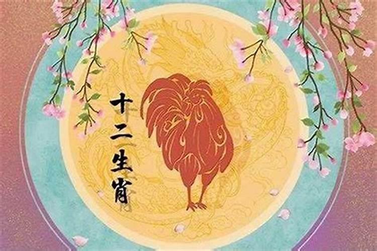 81年属2026年运势