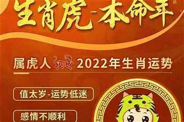 74虎在2026年的运程