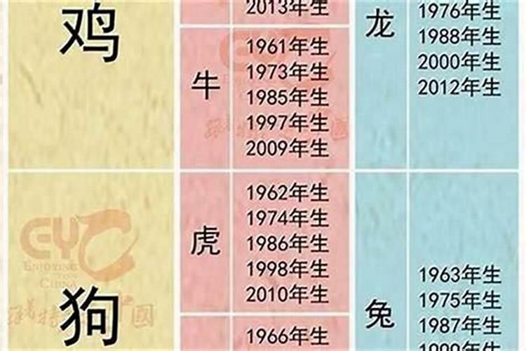 八字生合是什么生肖？