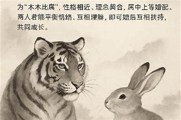 女兔和男虎的八字合吗？