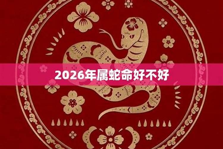 2026年属蛇的运势好吗？