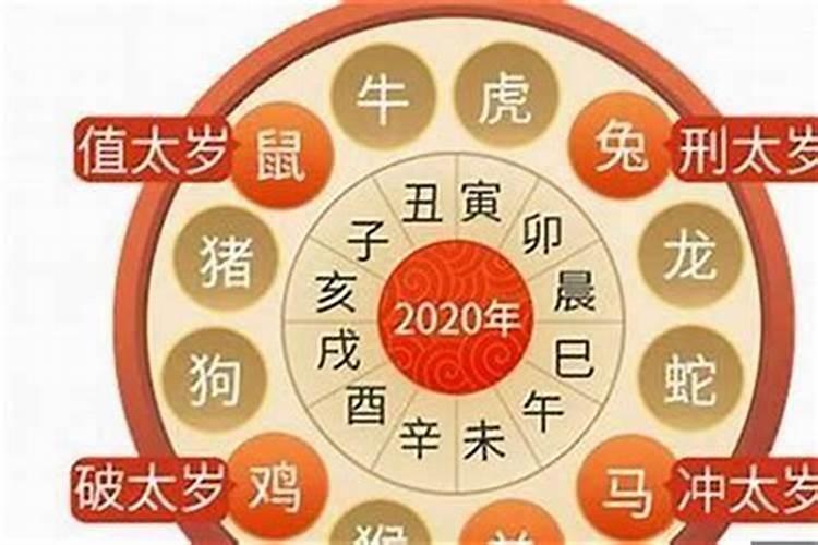 属猪本命年运势注意哪些问题？