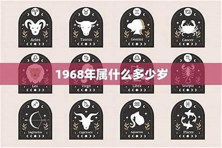 85年女2026年运程