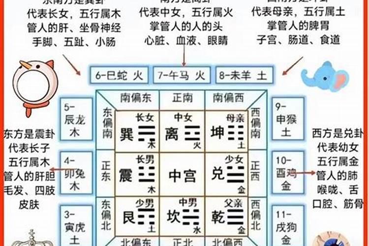 八字看什么命理的人不喜欢喝酒？