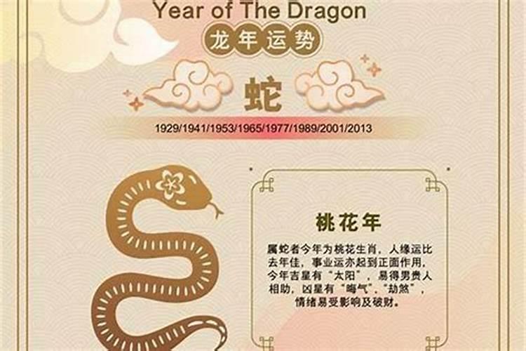 属蛇的55岁今年的运程