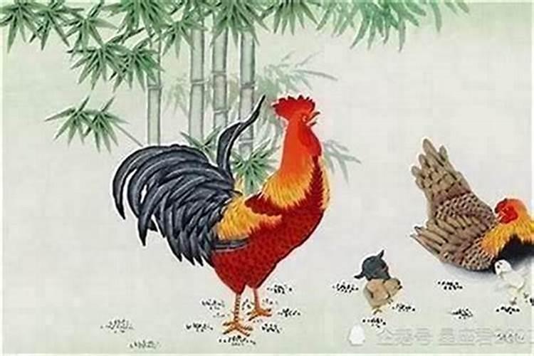 九三年九月初九出生的鸡