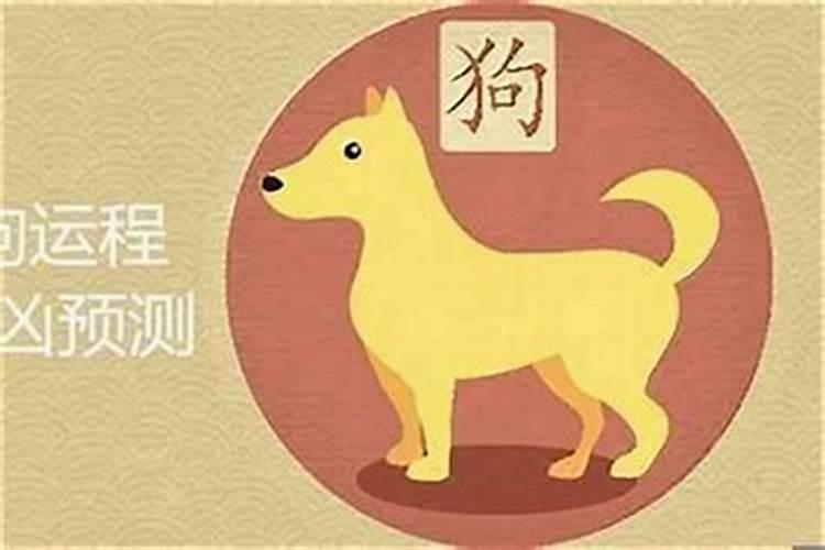 属狗2026年1月1号运势如何？