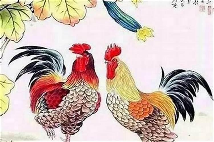 属鸡的和什么属相婚配最好？