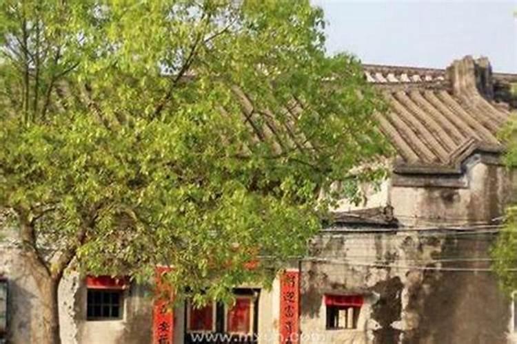 梦见回老家是什么预兆？