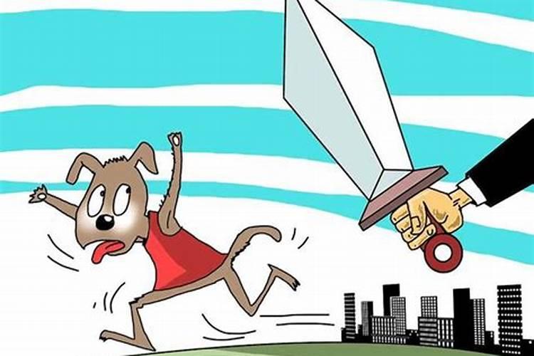 梦见杀狗见血是什么意思？