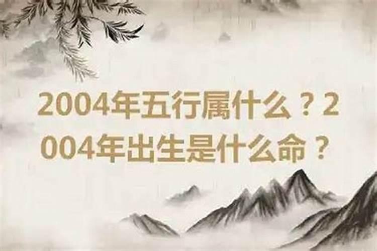 2004年出生什么命？