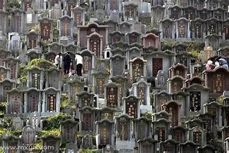 梦见坟地是什么意思有什么预兆吗？