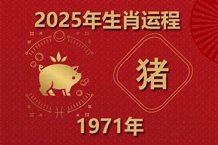 71年属猪男人一生运势如何？
