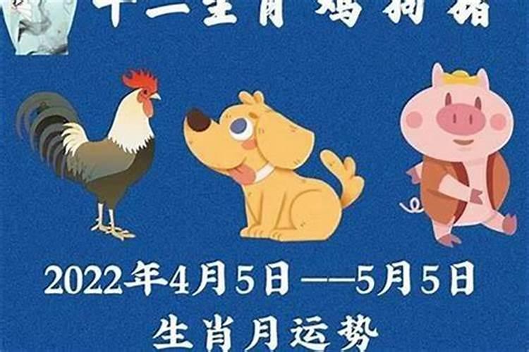 属鸡人6月5号运势如何？